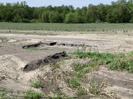 Figure 9.1. Severe water erosion near Walhalla, ND, spring, 2023. (NDSU photo)